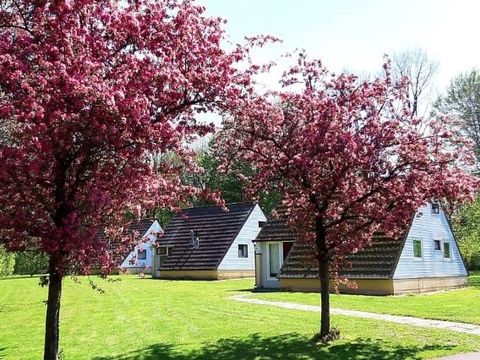 Groenpark Simpelveld - Simpelveld - Image N°0